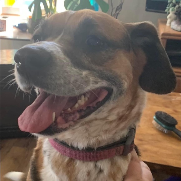 Meet your Posher, Sara - Picture 5 of 5